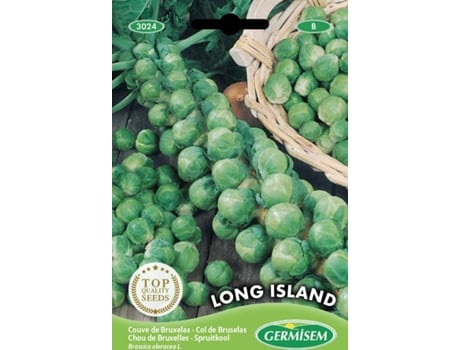 Sementes  Couve Bruxelas Long Island