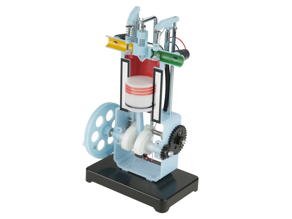 Modelo de Esqueleto de Mão Humana PVC S/MARCA