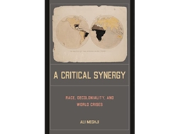 Livro A Critical Synergy de Ali Meghji (Inglês)