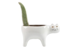 Vaso Cerâmico Para Suculentas E Cactos Com Design Moderno