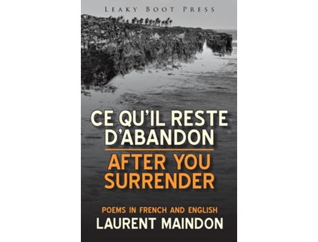 Livro After You Surrender / Ce Quil Reste Dabandon De Laurent Maindon (inglês)