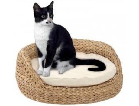Cama Divan