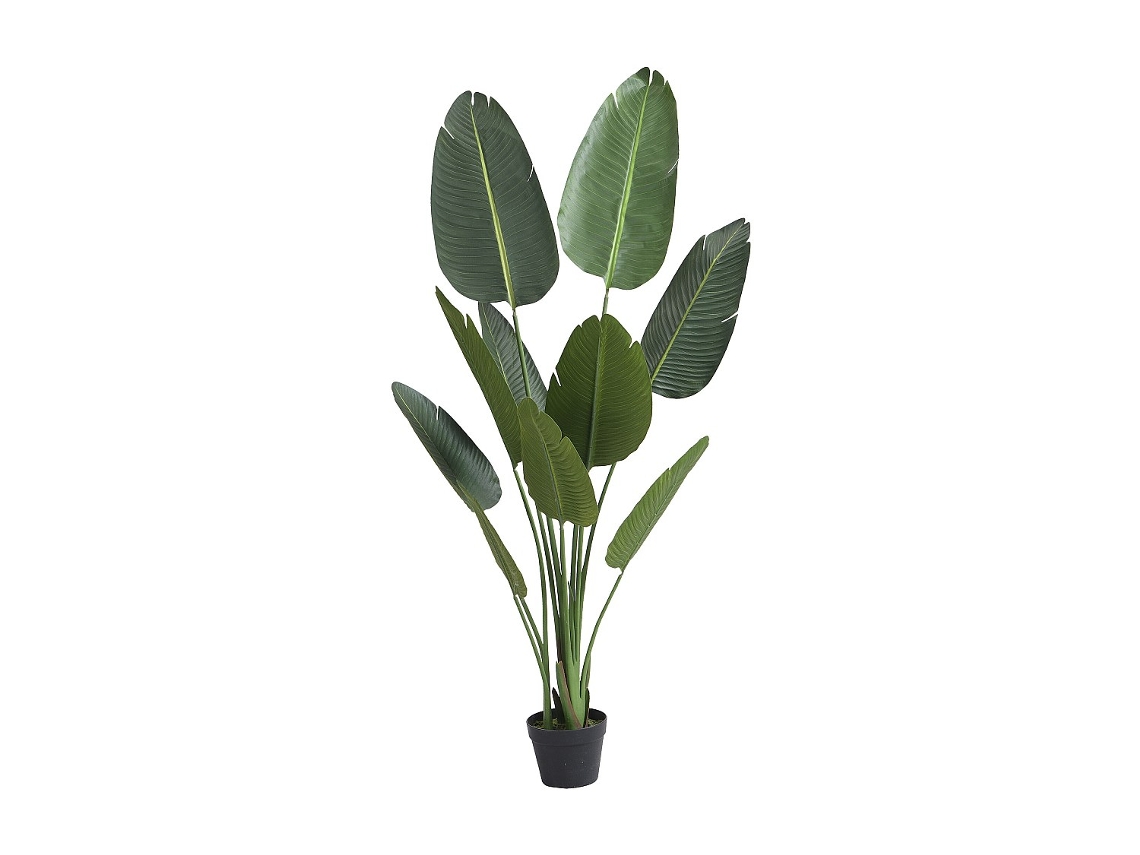 Planta Artificial Nendaz OZAIA (Verde - Plástico e vinil - 60x45x160 cm)