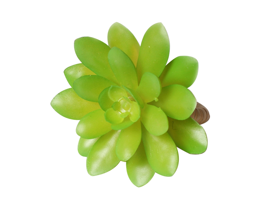 Apoio De Guardanapos Suculento Segurar Guardanapos Design Decorativo