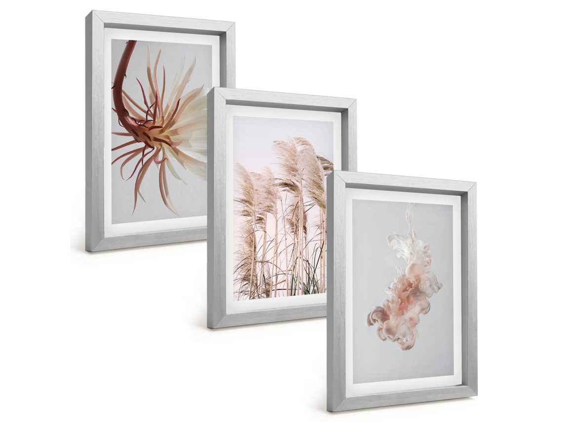 Quadros Decorativos Para Paredeconjunto De Fundo Claro Com Flores E Grama Moldura Prateada Quadros Para O Escritório Espelharte (3 Peças 20x30 Cm)
