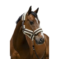 Cabeçada Cosy Castanho Fullnorton Equestrian