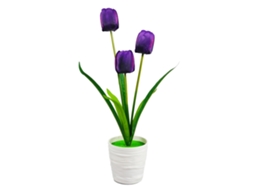 Arranjo Floral de Tulipas de Três Cabeças LAXISCREED
