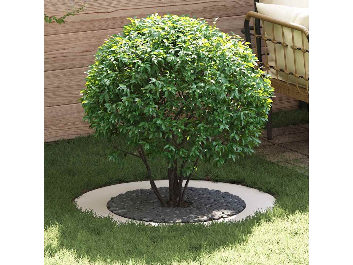 Vidaxl Adequado Para Anéis De Árvore Planos 5 Unid. Branco Ø60/90 Cm