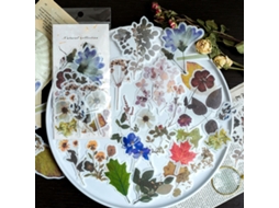 Conjunto de Autocolantes Botânicos 180 Pcs Flores Prensadas para Journaling NEVEANCE