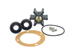 Kit de Serviço para Bomba 10350385 Douradojohnson Pump