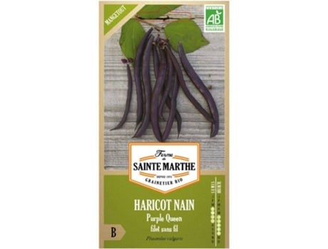 Sementes de Feijão Orgânico LA FERME DE SAINTE MARTH Variedade Rainha Roxa