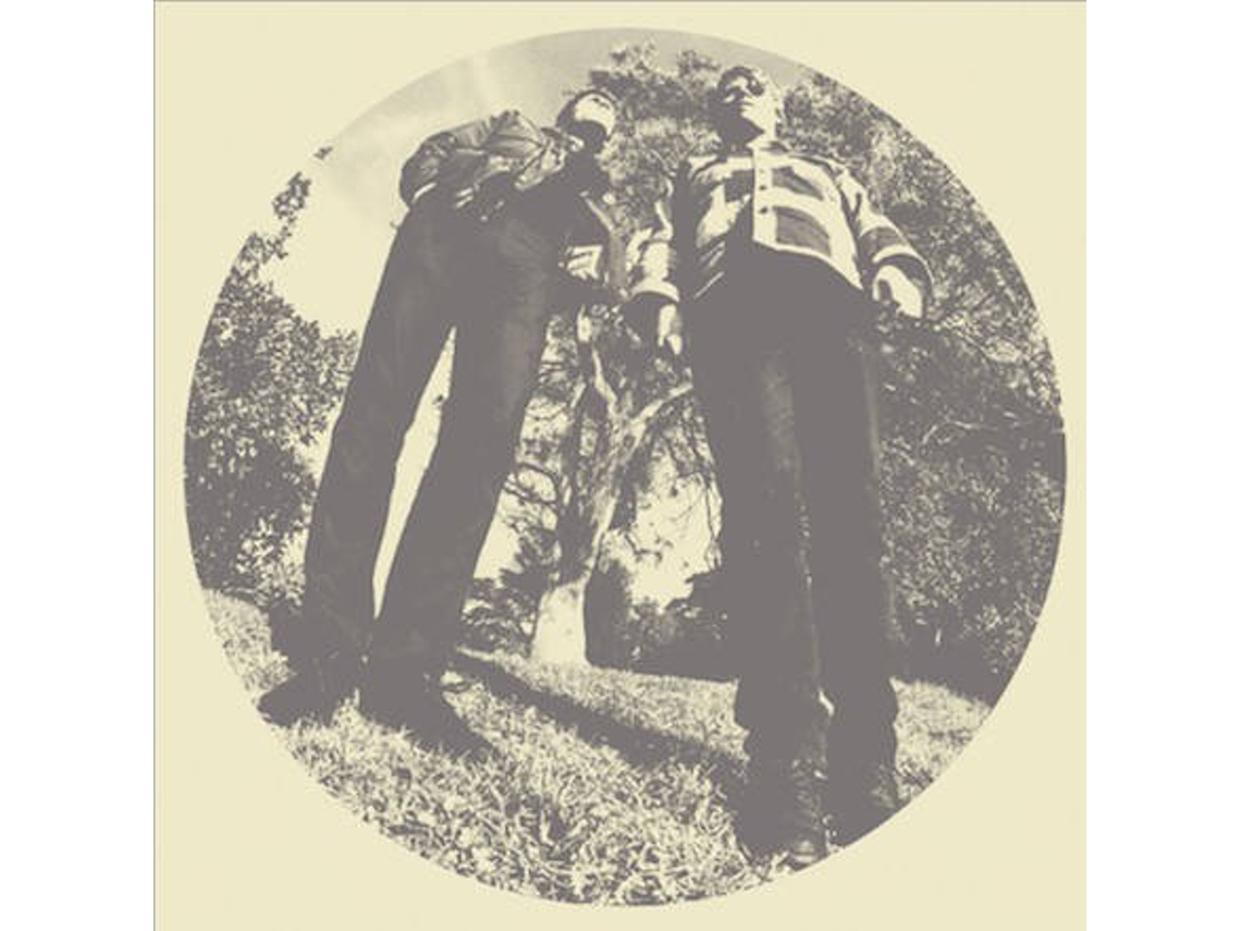 Vinil LP Ty Segall & White Fence - Hair