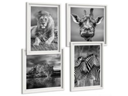 Composição De Quadros Animais Em Preto E Branco Natureza Espelharte (4 Peças)