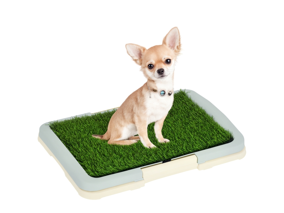 Casinha de Cachorro de Plástico para Uso Externo com Orifícios de Ventilação Azuis e Brancos. SINI TECH STORE