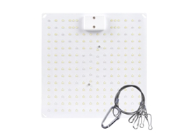 Luz de crescimento LED planta suculenta 50W espectro completo placa quântica interior | S/MARCA
