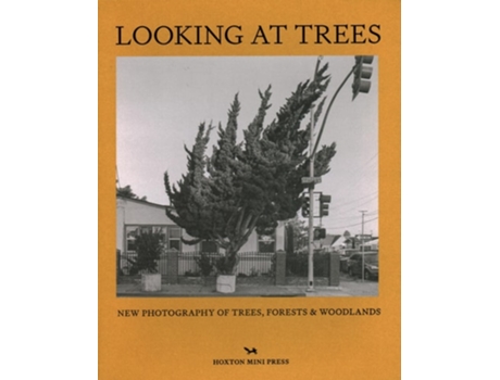 Livro Looking At Trees de Hoxton Mini Press (Inglês - Capa Dura)