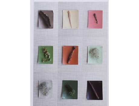 Livro Debby Huysmans Late Spring de Huysmans Debby (Inglês)