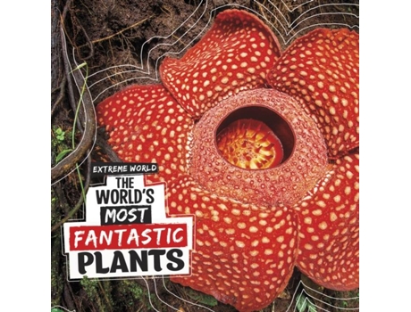 Livro The Worlds Most Fantastic Plants De Cari Meister (inglês)