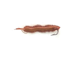 Evia Sand Worm Small