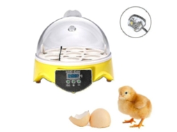 Incubadora Automática Para Ovos De Aves, Com Controle De Temperatura, Capacidade Para 7 Ovos, Modelo Z, Hg