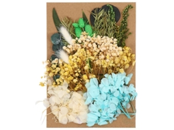 1pcs Flores Prensadas Allinless