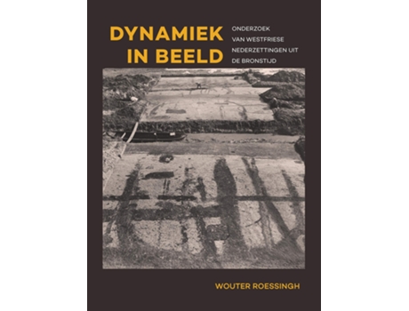 Livro Dynamiek in beeld de Dr Wouter Roessingh (Holandês)