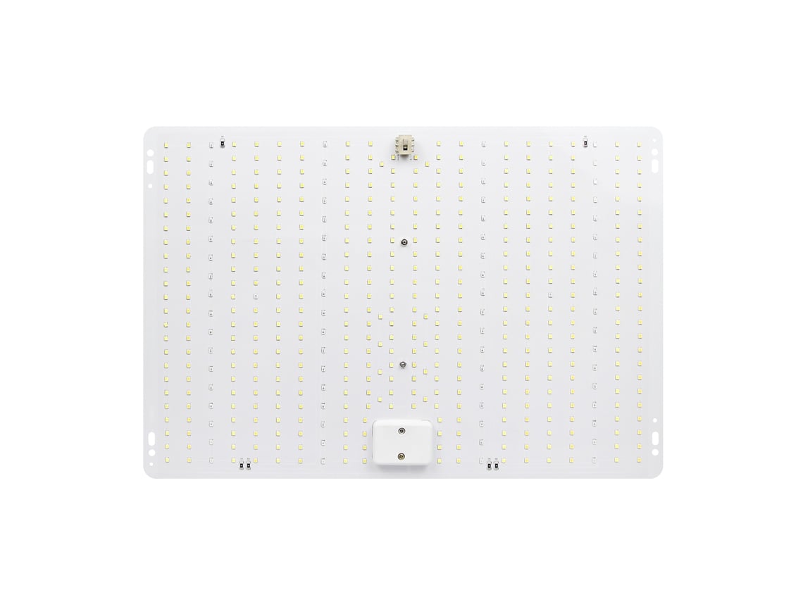 2026 luz de Crescimento de Plantas Led de Espectro Completo para Plantas Interiores Suculentas e Viveiros