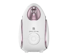 Vaporizador De Íons Aromaterapia Quente E Fria E 6 Configurações De Sparosa Ouro Chennnls