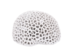 Figura de Coral