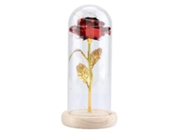 YS17432-Eternal Rose Flower LED Light com tampa de vidro Base de madeira Presente de casamento do dia dos namorados - Vermelho YWEI