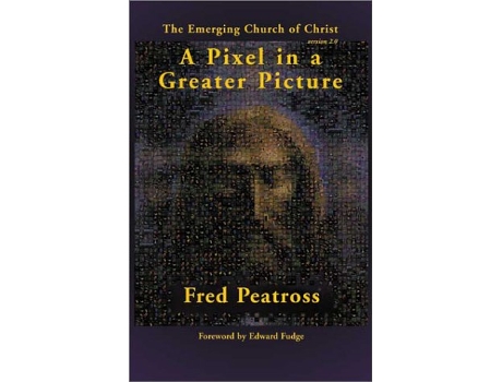 Livro Pixel in a Greater Picture de Fred Peatross (Inglês)