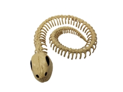 1Pcs Esqueleto de Cobra para Decorações de Halloween ALLINLESS