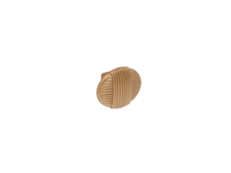 Puxador para Móveis Zamac Diâmetro 31mm Ouro Milão Conjunto de 25 HARDWAREXCHANGE