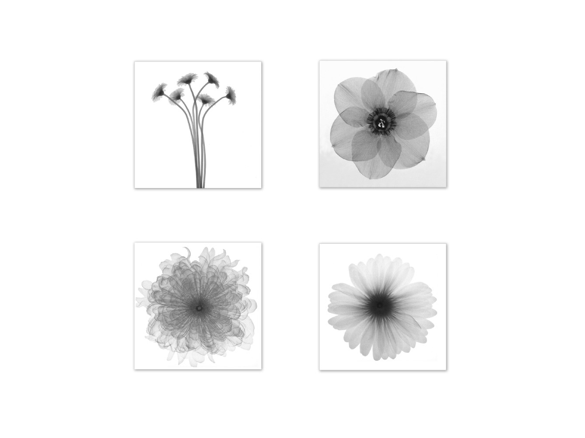 Laxiscreed Conjunto De Quadros Florais Em Tela - Decoração De Interior Em 4 Peças