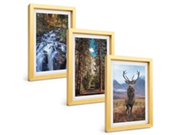Quadros Decorativos Para Paredecachoeira, Floresta, Montanhas, Veado Natureza Moldura Dourada Quadros Para O Escritório Espelharte (3 Peças 20x30 Cm)