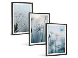 Conjunto De Pinturas Dentes-de-leão Com Gotas De Água Espelharte (3 Peças 40x60 Cm)