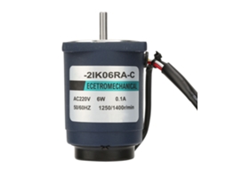 Motor de Controle de Alta Velocidade 6w Ac220v