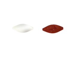 Lure Spro Trout Master Incy Spin Spoon