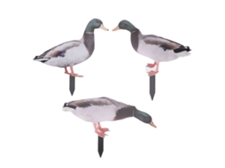 Estacas Decorativas Jardim Patos À Prova Dágua Duas Faces