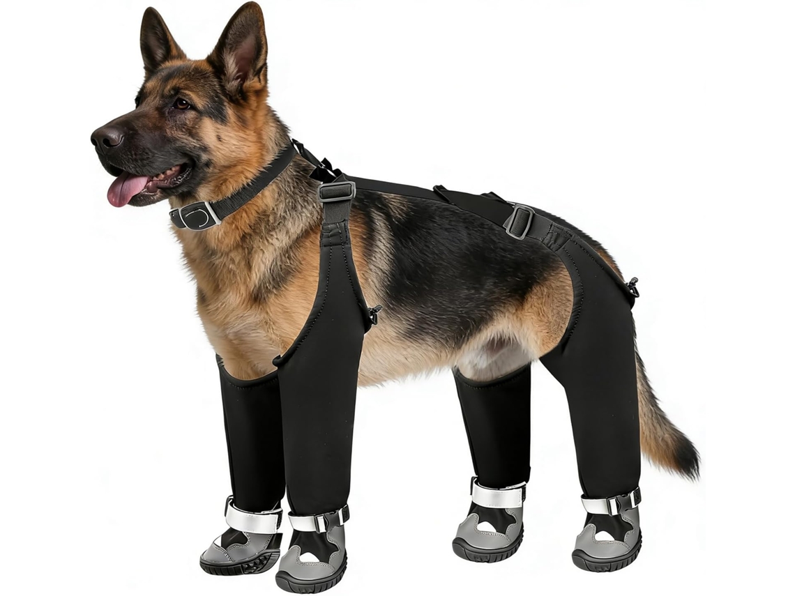 Botas De Neve Cães Zabawa Sensoryczna