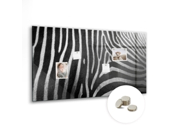 Quadro Magnético De Parede Estampa De Zebra Para O Quarto Das Crianças Espelharte (120x60 Cm)
