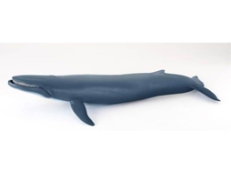 Figura PAPO Baleia Azul