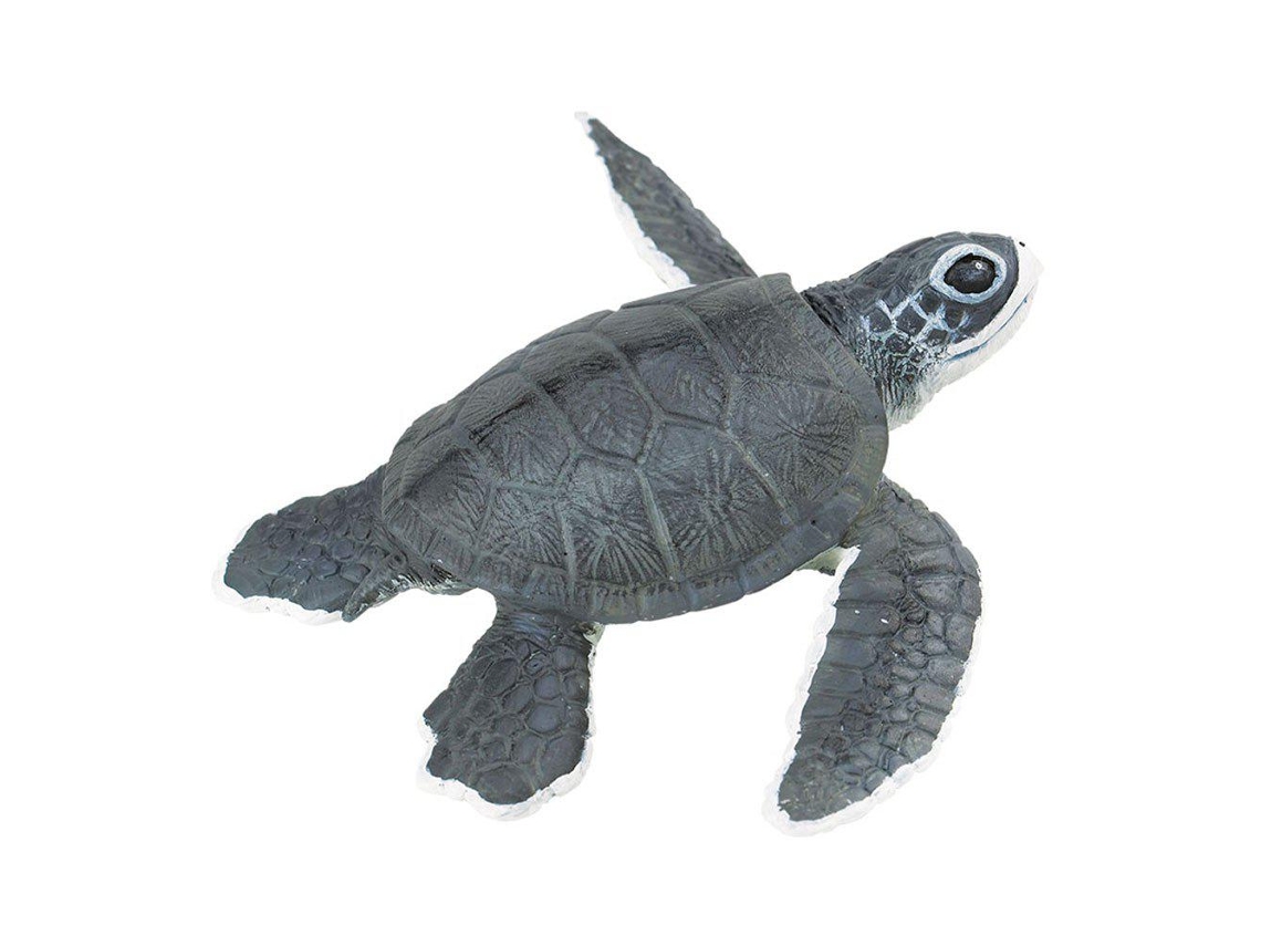 SAFARI Sea Turtle Baby