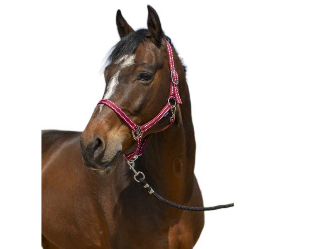 Cabeçada Grooming Castanho Shetlandnorton Equestrian