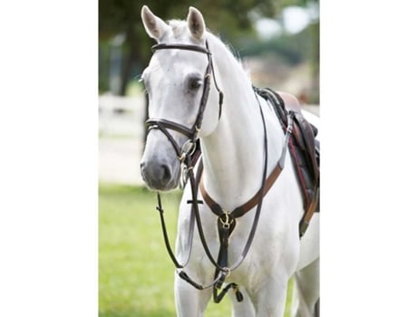 Gola de caça ao cavalo elástico com martingale TATTINI