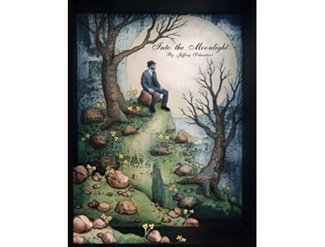 Livro Into The Moonlight De Jeffrey Schweitzer (inglês - Capa Dura)