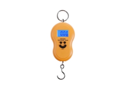 (50kge) Balança Digital Lcd Portátil, Precisão De 0,01g, Pilhas Não Incluídas.
