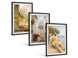 Conjunto De Pinturas Árvore Cítrica, Vista Da Janela Espelharte (3 Peças 40x60 Cm)