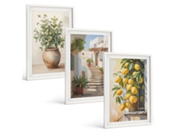 Conjunto De Pinturas Plantas, Plantas Em Vasos, Limões, Rua Espelharte (3 Peças 40x60 Cm)