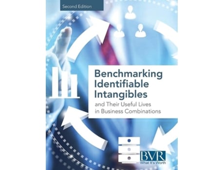 Livro Benchmarking Identifiable Intangibles And Their Useful Lives In Business Combinations, Second Edition De Bvr Staff (inglês)